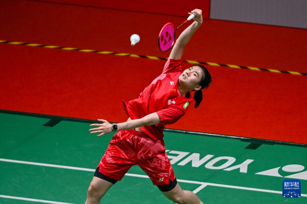 他的组织能 他的组织能