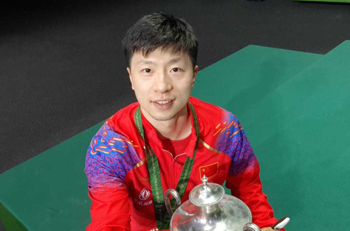 什琴斯尼目 什琴斯尼目